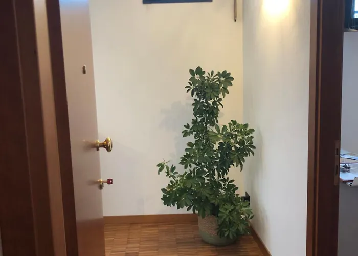 Il Piccolo Scrigno Lonigo